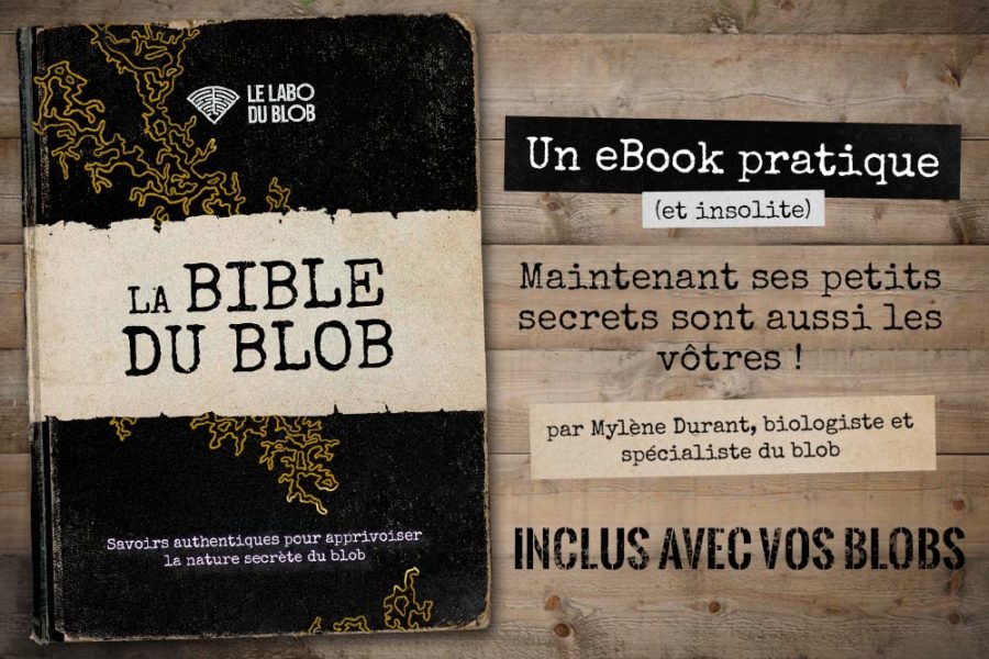 Couverture du livre numérique La Bible du Blob par Le Labo du Blob