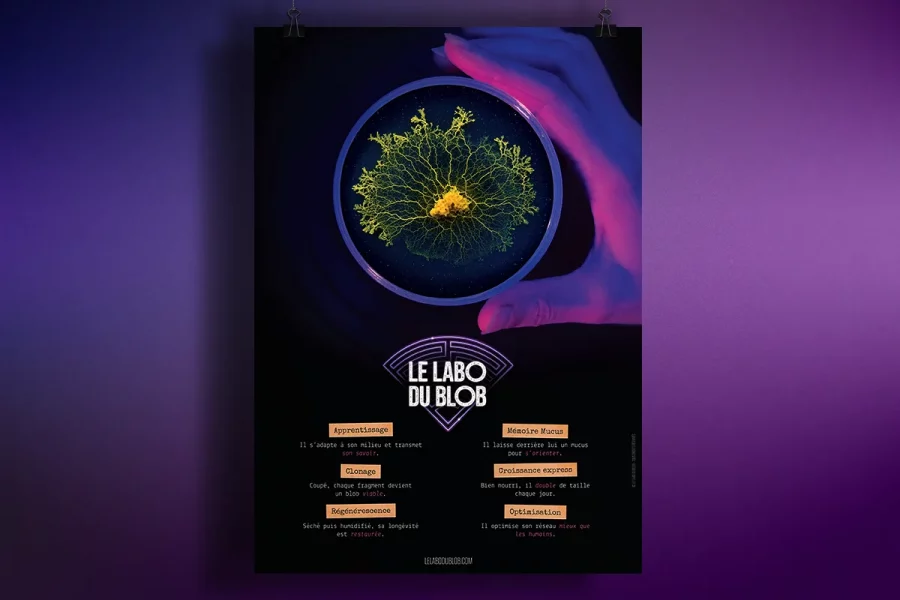 Poster pédagogique Le Labo du Blob