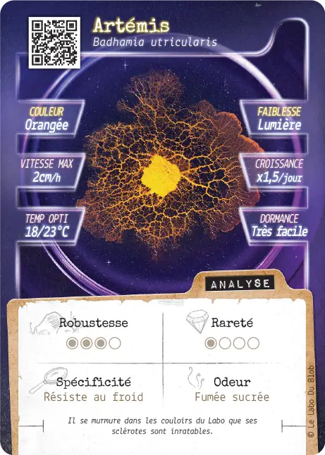 Carte blob Badhamia utricularis