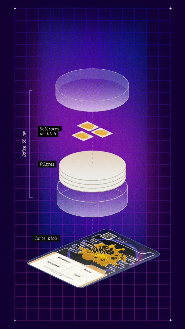 vue-eclatee-coffret-2-esp La couverture de La Bible du Blob ainsi que des vignettes des expériences proposées avec les coffrets