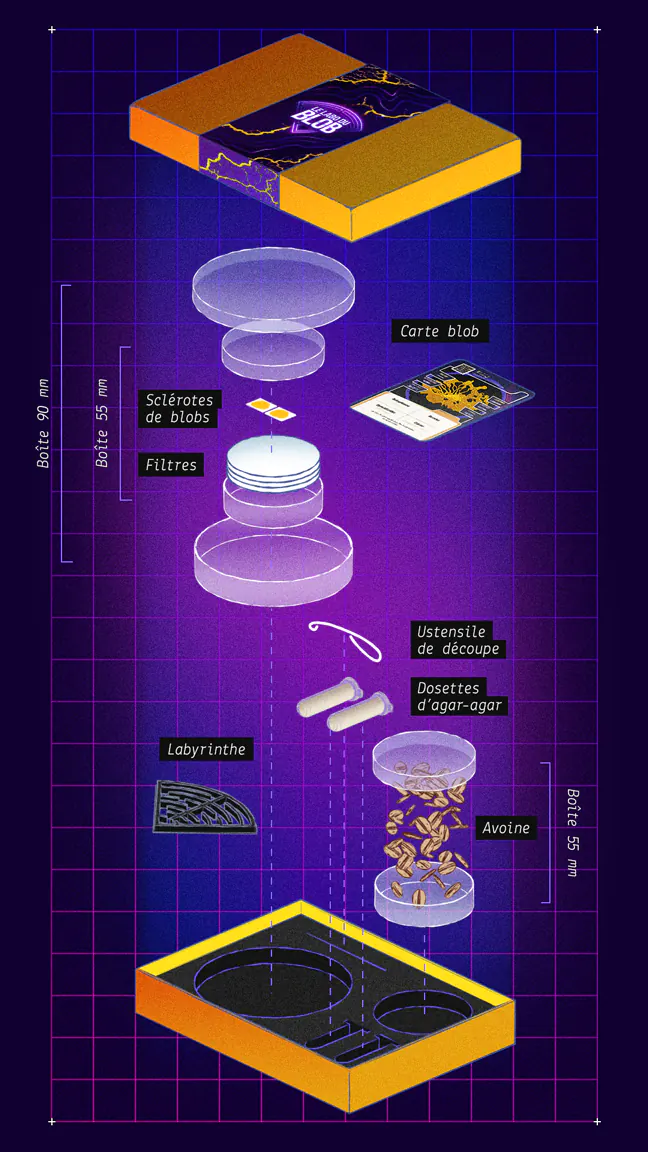 vue-eclatee-coffret-2-esp La couverture de La Bible du Blob ainsi que des vignettes des expériences proposées avec les coffrets