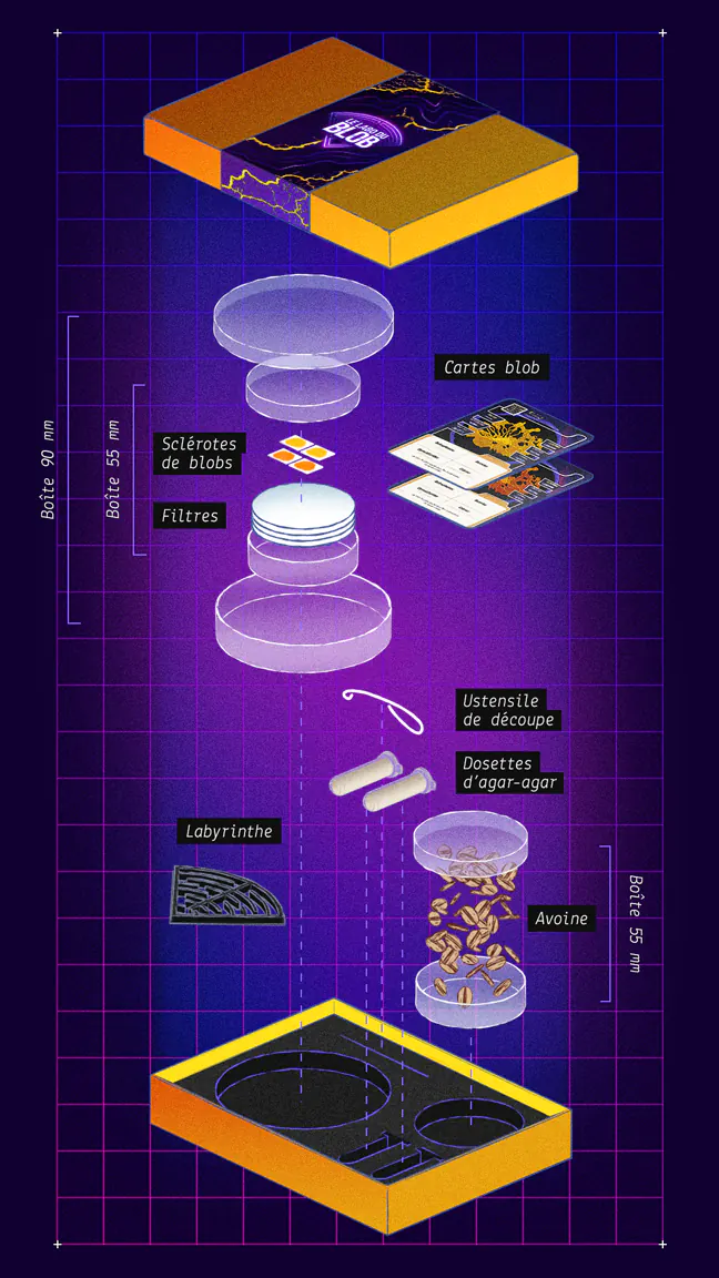 vue-eclatee-coffret-2-esp La couverture de La Bible du Blob ainsi que des vignettes des expériences proposées avec les coffrets